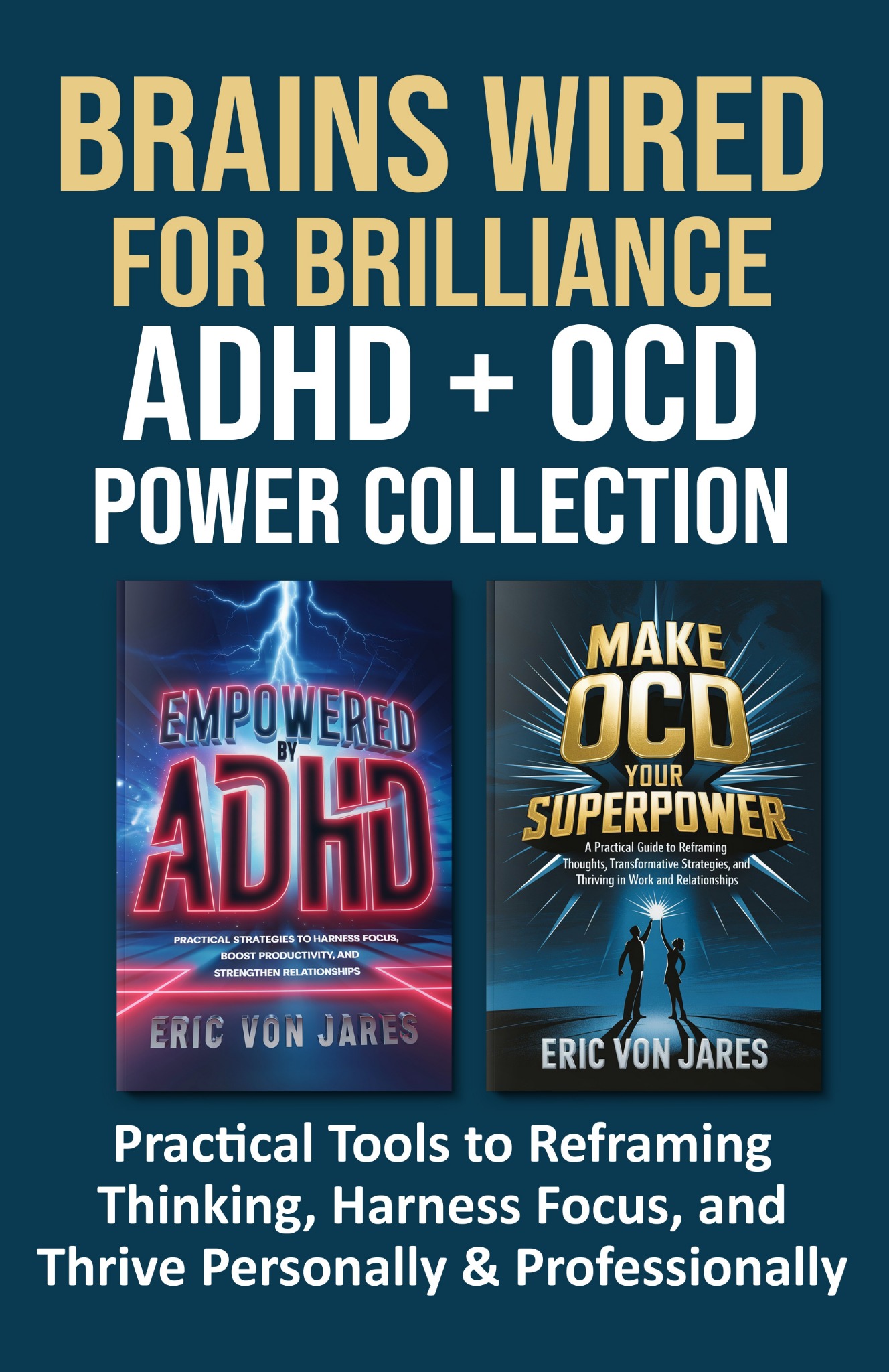 Brains Wired for Brilliance book cover